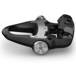 Garmin Rally RS100