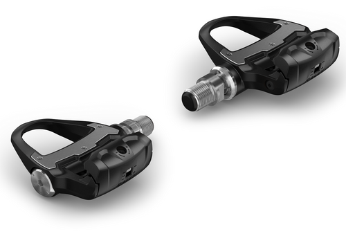 Garmin Rally RS100